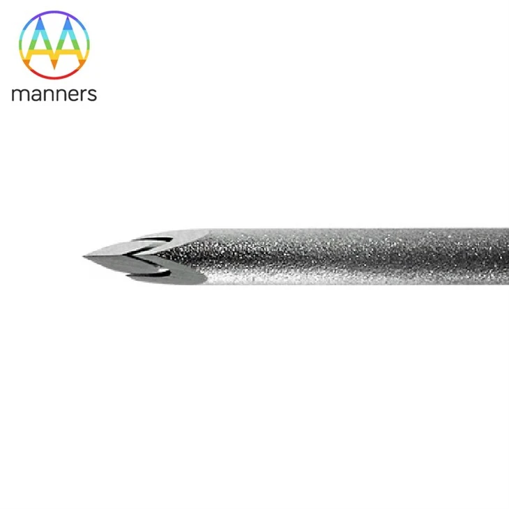 Stylet Cannula